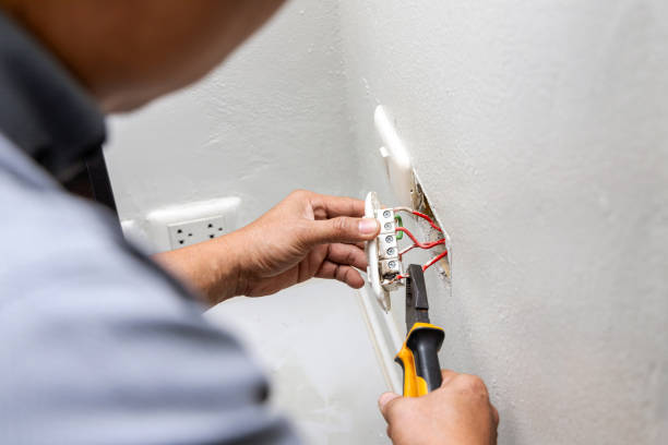 Best Electric Panel Repair  in Laurel Springs, NJ
